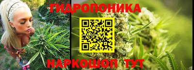 гидропоника Старая Купавна