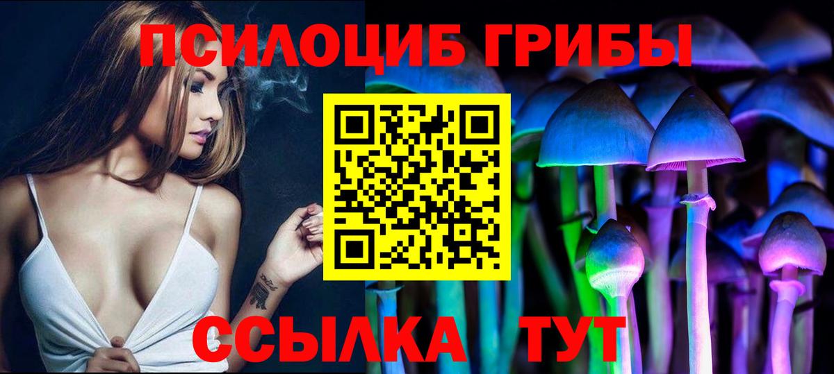 Галлюциногенные грибы Psilocybe  Вход с VPN  Назрань 
